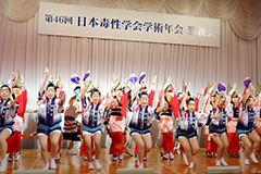 阿波踊り(蜂須賀連)