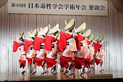 阿波踊り(蜂須賀連)