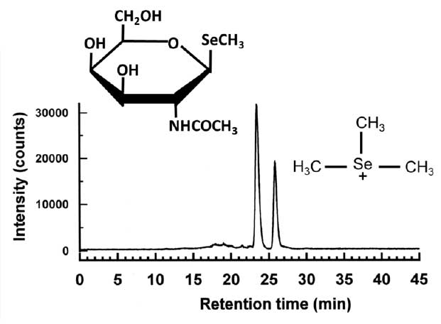 5種類の違法薬物検査 大麻検査 覚せい剤検査 覚醒剤検査 薬物尿検査
